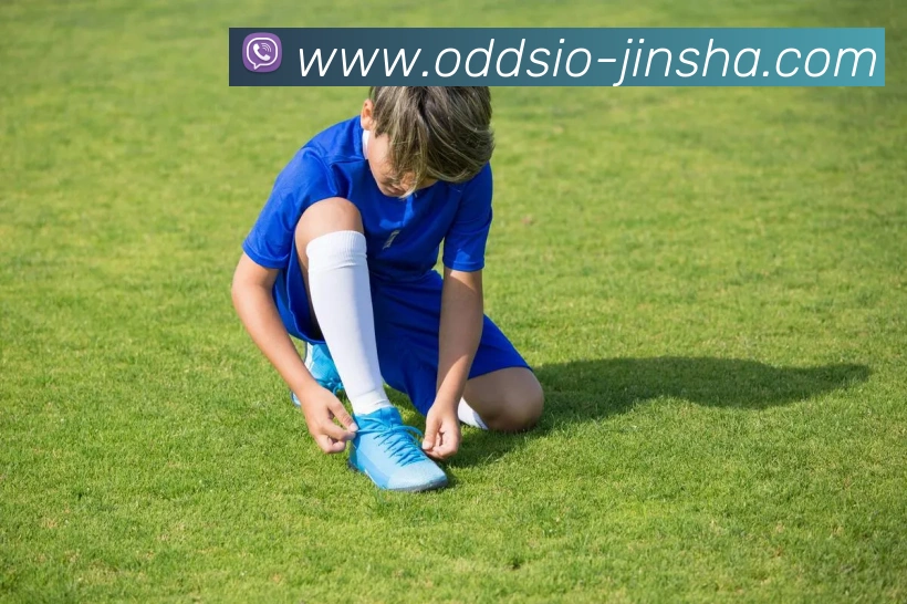 App Interface Preview