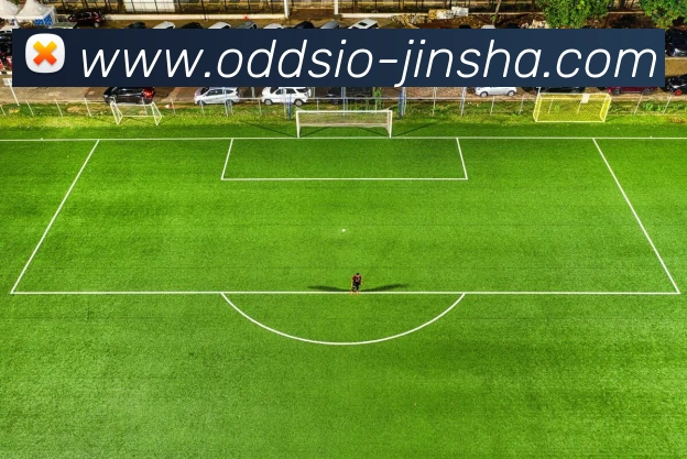 金沙国际APP 封面图